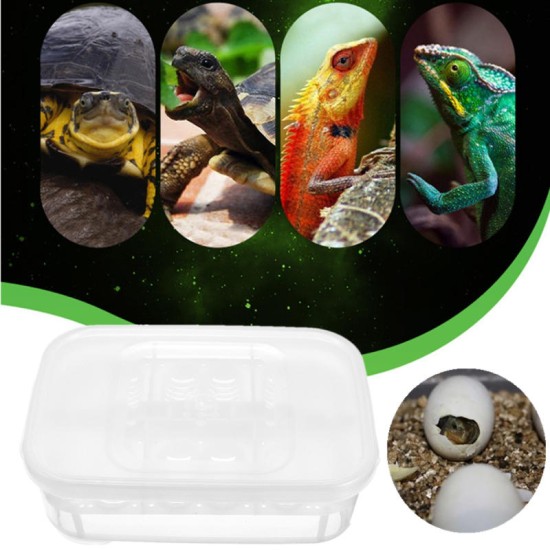 12 Reptiles Eggs Incubator Tray Gecko Snake Bird Amphibians Hatching Case Breeding Tools Box