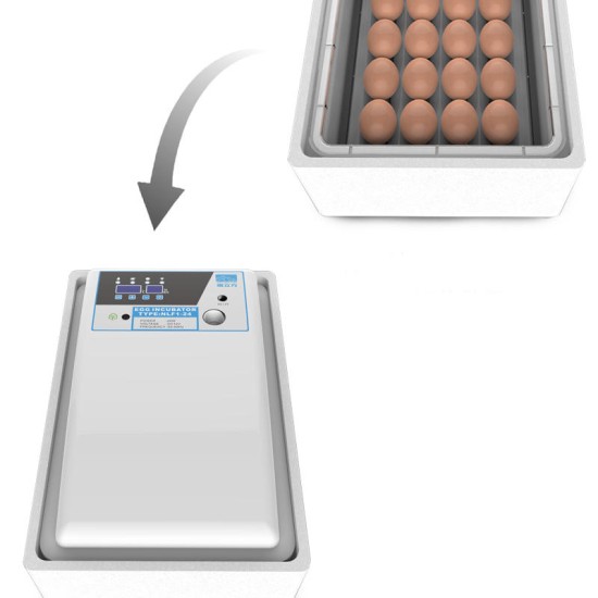 36pcs Eggs Digital Fully Automatic Egg Incubator Poultry Hatcher for Chickens Ducks Goose Birds Temperature & Humility Control Two Batteries