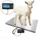 LCD Digital Stainless Steel Waterproof Animal/Parcel Platform Scale For Dog Goat Livestock Vet