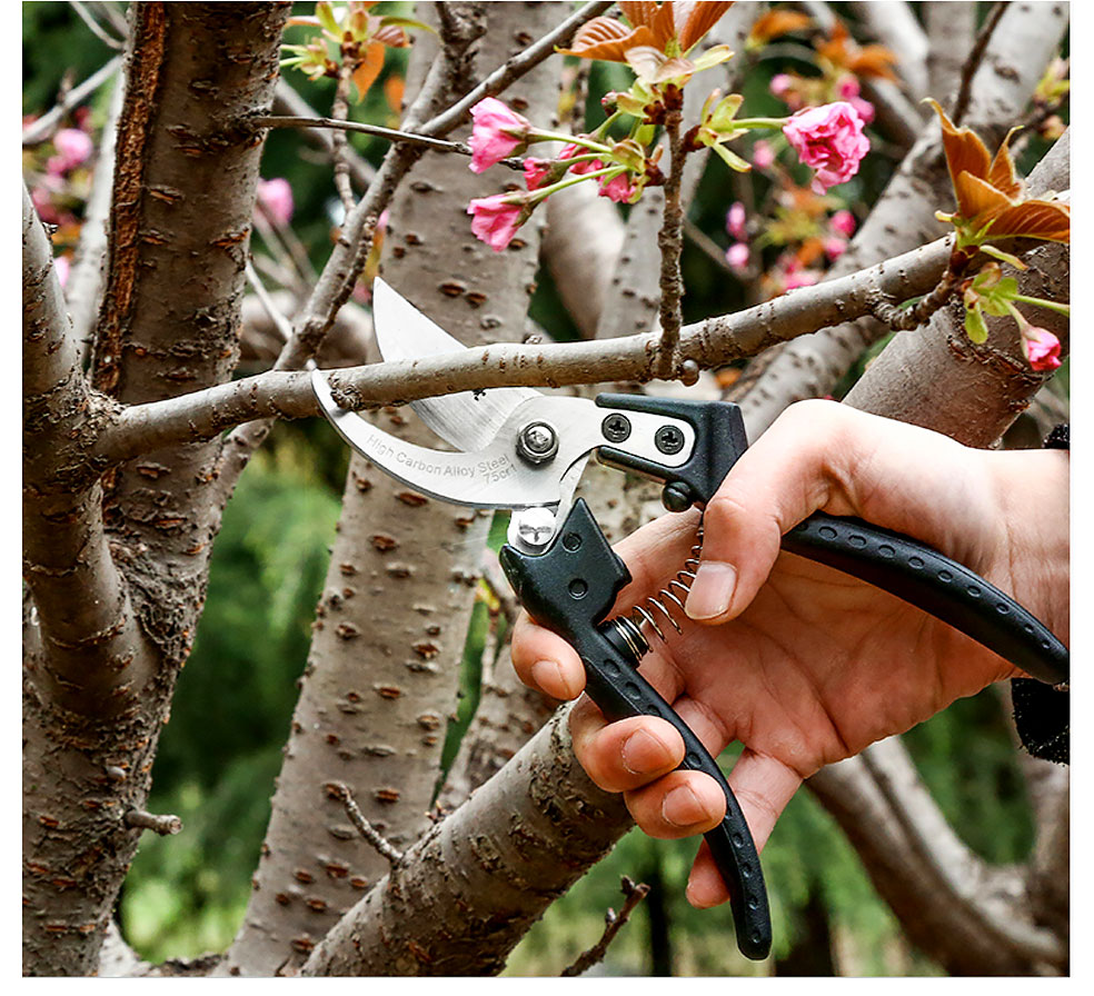 Garden-Pruning-Shears-Tree-Trimmers-Garden-Hand-Pruner-Scissor-Garden-Labor-saving-Hardware-Tools-Fl-1870763-6