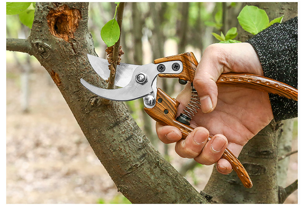 Garden-Pruning-Shears-Tree-Trimmers-Garden-Hand-Pruner-Scissor-Garden-Labor-saving-Hardware-Tools-Fl-1870763-10