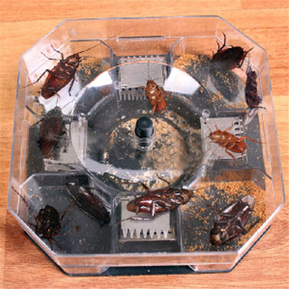 Large-Cockroach-Lizard-Insect-Trap-Killer-ECO-Non-Poison-Reusable-Catcher-Box-Snail-Slug-Trapper-1351784-9