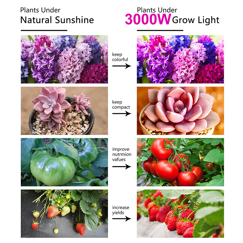 3000W-LED-Grow-Light-13000-Lumens-Plant-Flower-Full-Spectrum-Veg-Flower-Greenhouse-Lamp-1727644-3