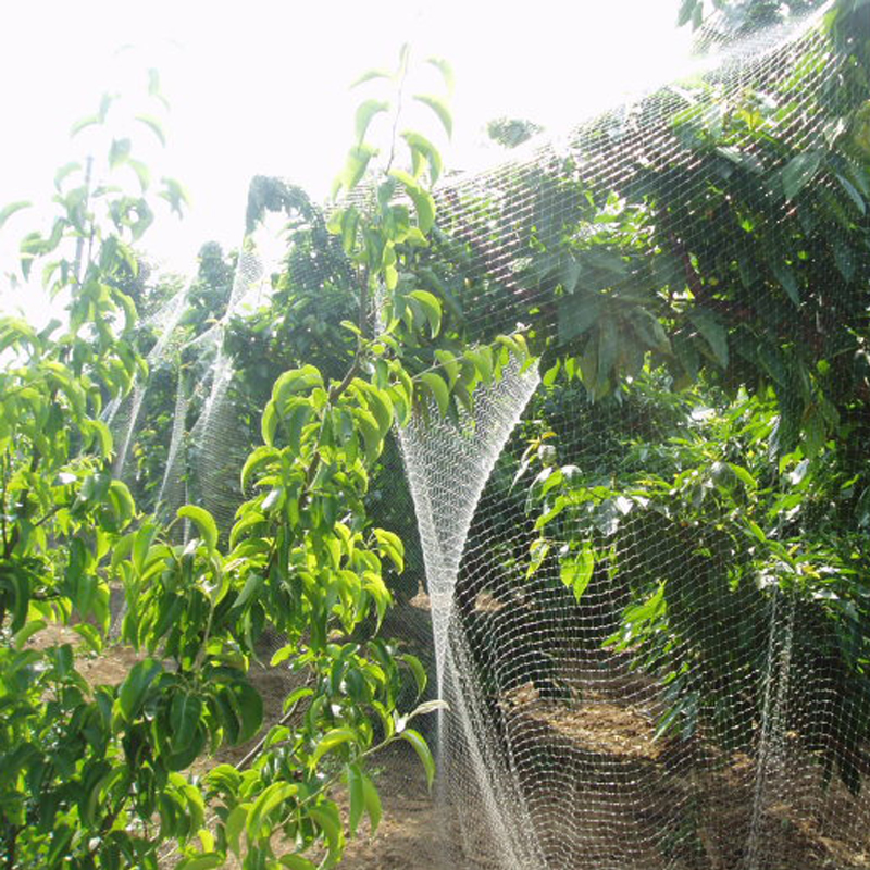 46810152030cm-Anti-Bird-Netting-Fruit-Crop-Plant-Knitted-Pest-Net-Prevent-Huting-Catching-15times15c-1421876-2