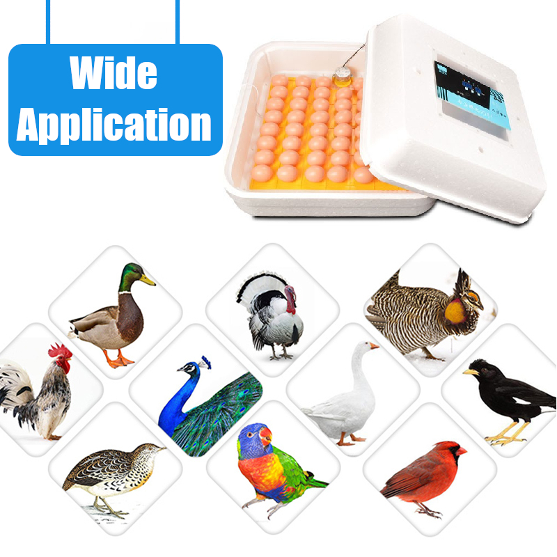 220V-5564-Pieces-Automatic-Digital-Egg-Hatcher-LCD-Dislplay-Incubator-Hatching-Eggs-Temperature-Cont-1461550-2