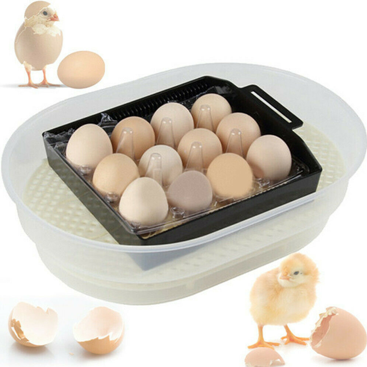 12-Eggs-Incubator-Fully-Automatic-Chicken-Poultry-Duck-Quail-Egg-Hatcher-1742597-3