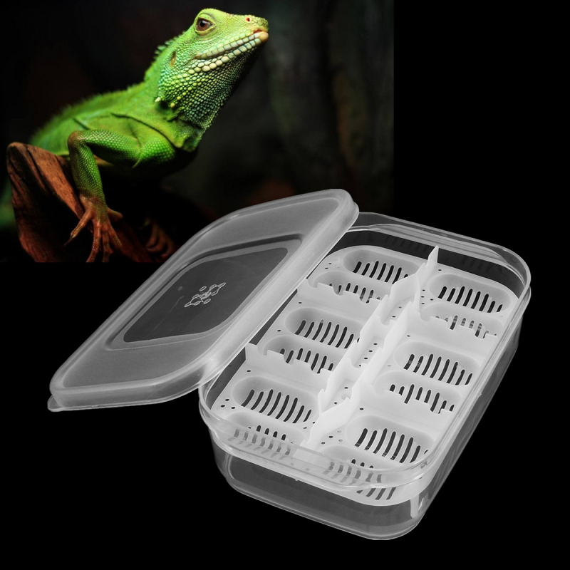 12-Reptiles-Eggs-Incubator-Tray-Gecko-Snake-Bird-Amphibians-Hatching-Case-Breeding-Tools-Box-1216634-1