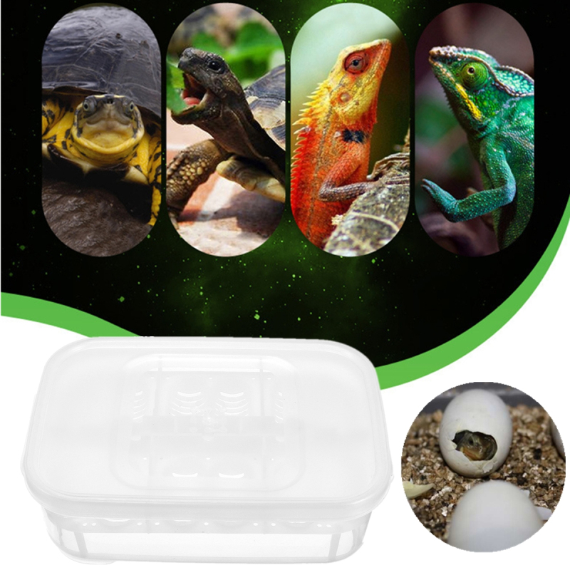 12-Reptiles-Eggs-Incubator-Tray-Gecko-Snake-Bird-Amphibians-Hatching-Case-Breeding-Tools-Box-1216634-2