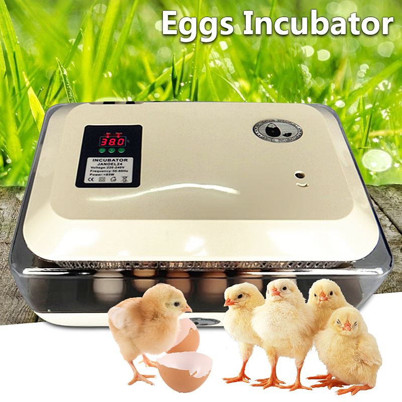 Egg-Incubator-Incubator-Hatcher-24-Digital-Fully-Automatic-Clear-Egg-Turning-Incubator-Hatcher-1359922-1