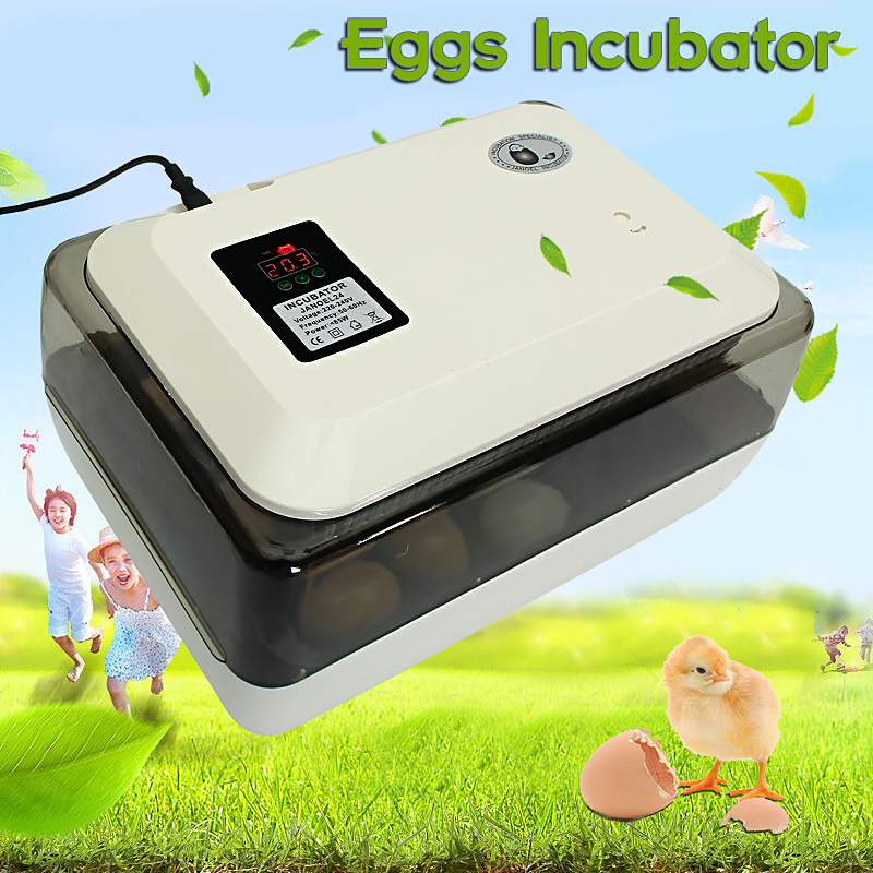 Egg-Incubator-Incubator-Hatcher-24-Digital-Fully-Automatic-Clear-Egg-Turning-Incubator-Hatcher-1359922-2