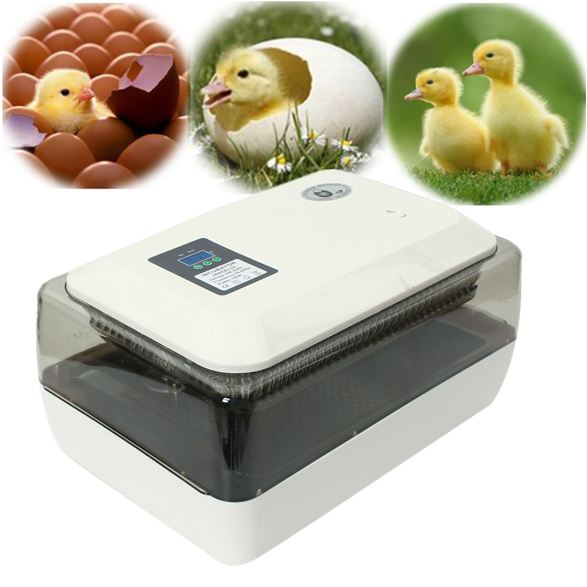 Egg-Incubator-Incubator-Hatcher-24-Digital-Fully-Automatic-Clear-Egg-Turning-Incubator-Hatcher-1359922-10